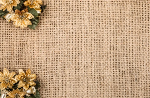 Atatürk çiçeği çiçek, kopya alanı ile Noel arka plan