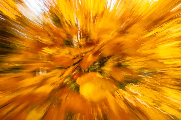 Натуральні осінні шпалери з абстрактним розмитим рухом — стокове фото