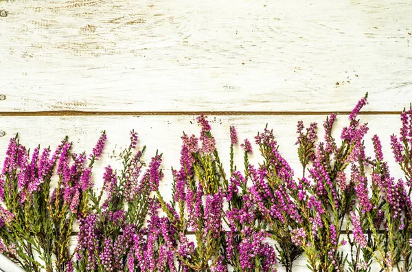 Heather çiçekler, sonbahar arka plan, eski püskü şık çerçeve