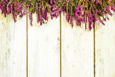 Heather çiçekler, sonbahar arka plan, eski püskü şık çerçeve