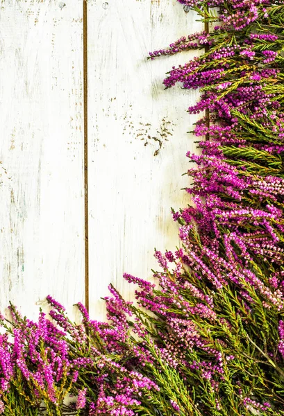 Heather çiçekler, sonbahar arka plan, eski püskü şık çerçeve