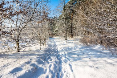 Kar, kış manzarası, Güneş ve mavi gökyüzü yolunda