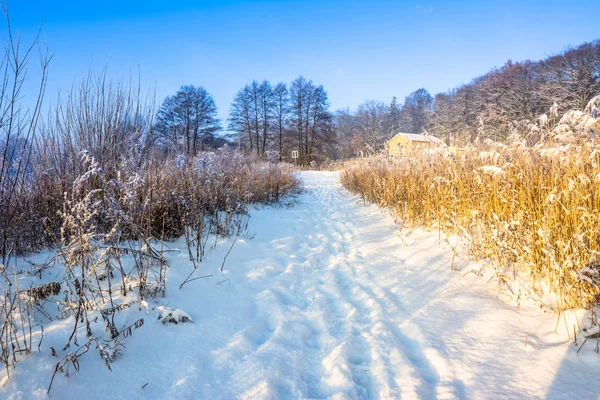 Зимний пейзаж страны чудес с дорогой в снегу, сельские пейзажи в — стоковое фото