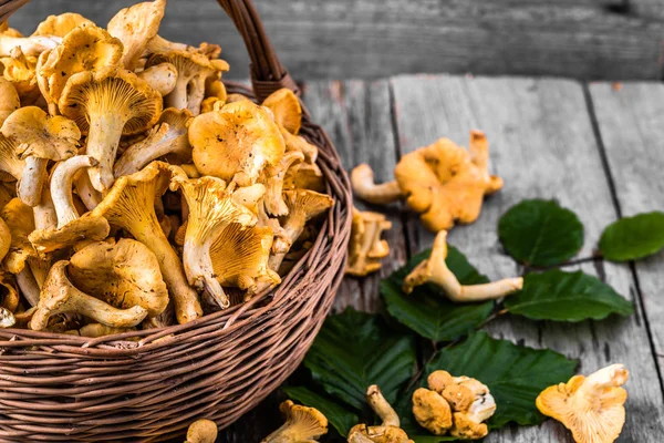 Ahşap masa üzerinde bir sepet içinde taze chanterelles mantar
