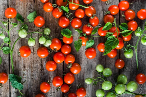 Kiraz domates yaprakları, kırmızı sebze yerel Market ile çiftlik taze üretmek, organik gıda, düz yukarıdan yatıyordu