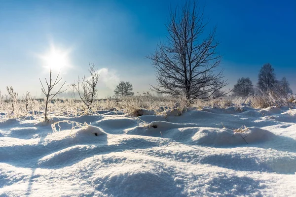 Зимний пейзаж со снегом на поле и небо со звездой солнца в — стоковое фото