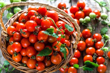 Taze organik sebze taze yerel çiftçilerin hasat denilen tahta masada sepette küçük domates kiraz domates