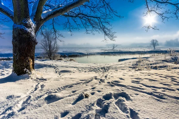 Paysage fluvial hivernal, décor lunatique avec soleil matinal sur ciel bleu — Photo