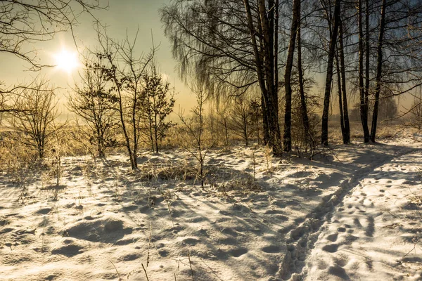 Пейзаж зимнего парка со снегом на дорожке и солнцем на небе — стоковое фото