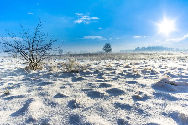 Зимний пейзаж со снегом на поле и небо со звездой солнца утром — стоковое фото