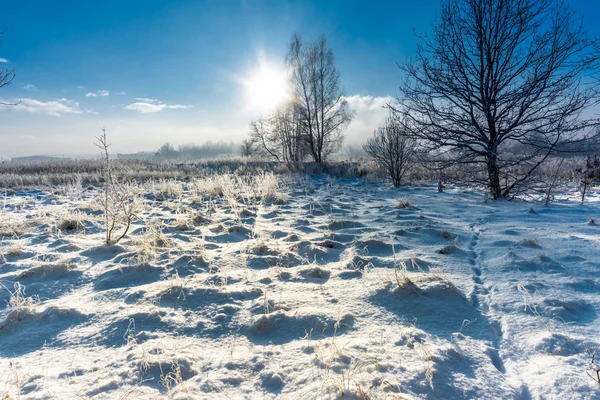 冬日的雪景, 田野上的雪和天空中的太阳星, 在严寒的早晨 — 图库照片