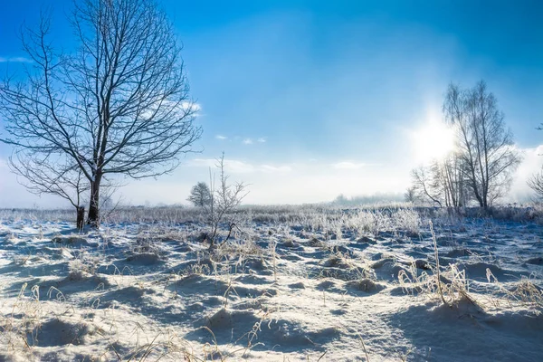 场中雪和天空的太阳在早晨霜冬季景观 — 图库照片