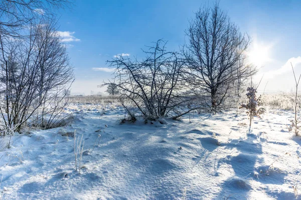 Paysage hivernal du champ dans la neige et le ciel avec le soleil dans le gel du matin — Photo
