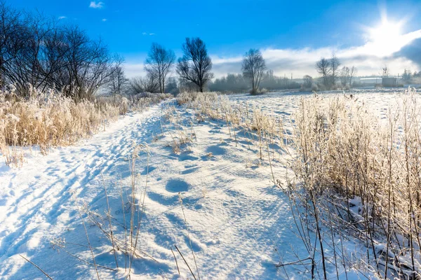 Солнечный зимний пейзаж со снегом, солнцем и голубым небом — стоковое фото