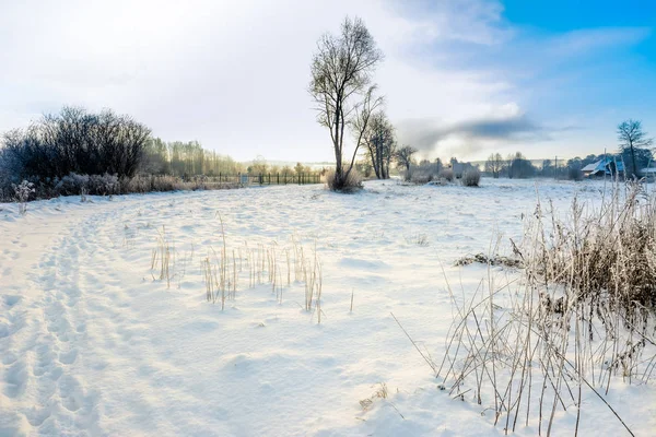 Sníh na pole, zasněžené zimní krajiny — Stock fotografie