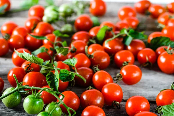 Kiraz domates, closeup tahta masada denilen kırmızı domates taze ürün taze yerel piyasadan Hasat çiftlik