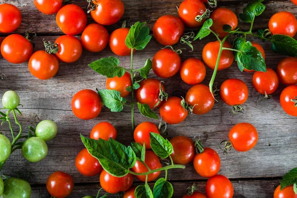 Tomates cereja com folhas, legumes vermelhos do mercado local, produtos agrícolas frescos, alimentos orgânicos, flat lay de cima — Fotografia de Stock