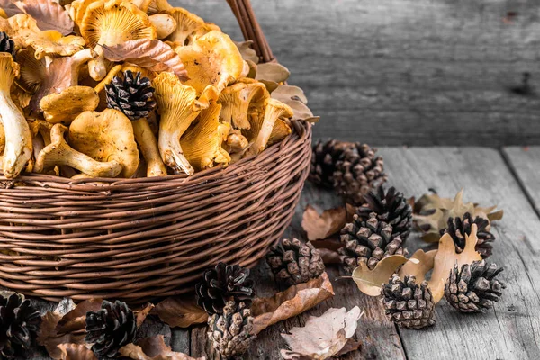 Frische Pfifferlinge im Korb auf Holztisch — Stockfoto