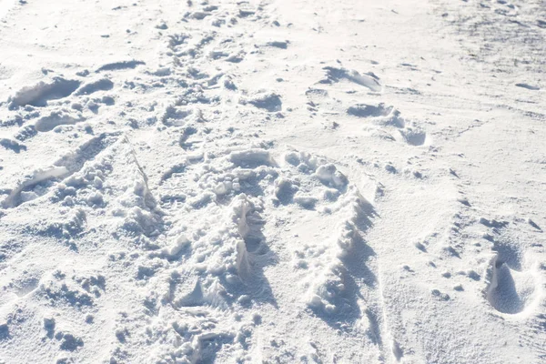 Beyaz doku, kar arka planlar