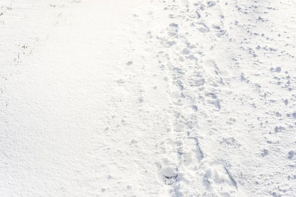 Fußabdrücke im Schnee, Winterhintergrund — Stockfoto