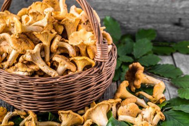 Ahşap masa üzerinde bir sepet içinde taze chanterelles mantar