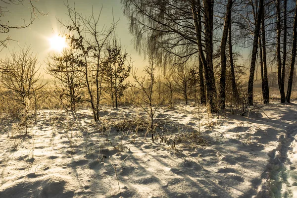 Paisaje invernal de campo en nieve y cielo con sol en las heladas matutinas —  Fotos de Stock
