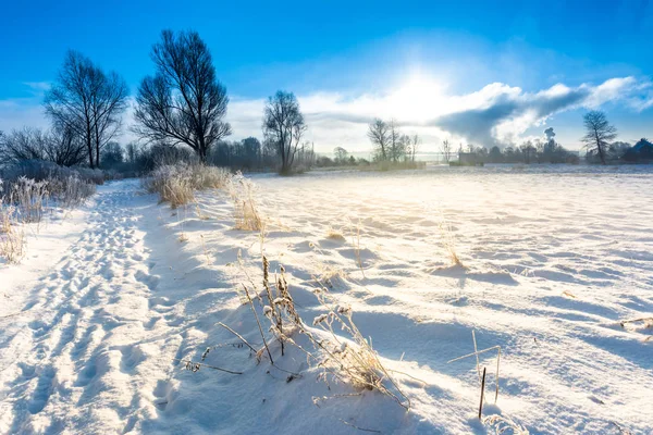 Sihirli kış manzara ile kar kırsal, Güneş ve mavi gökyüzü, beyaz Noel kavramı