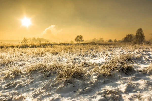 Зимний пейзаж поля в снегу и небе с солнцем в утренние морозы — стоковое фото
