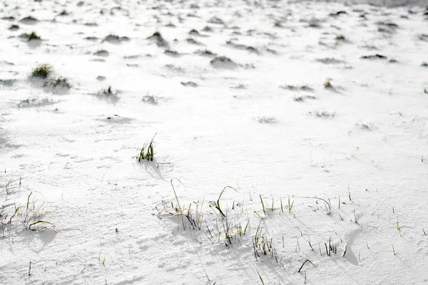 Fält i snö, bakgrund, vintern textur — Stockfoto