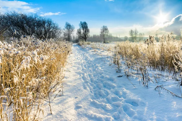 Doğal kış manzarası kar kırsal, mavi gökyüzü güneşli kış hava tarih Pzr de yol ile