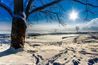 Kış nehir manzarası, sabah güneşi üzerinde mavi gökyüzü ile moody sahne