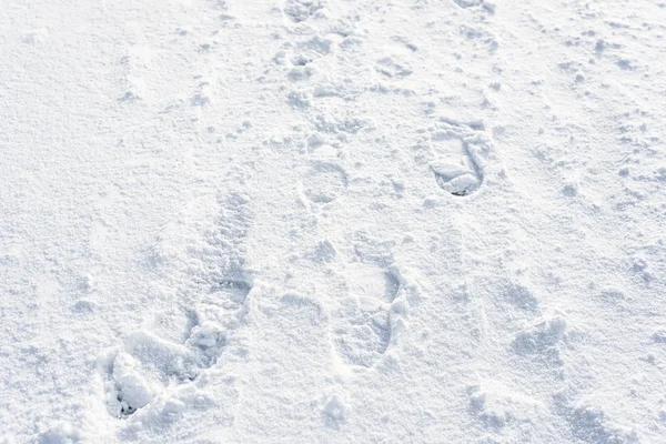 Следы в снегу, чистый зимний фон для дизайна — стоковое фото