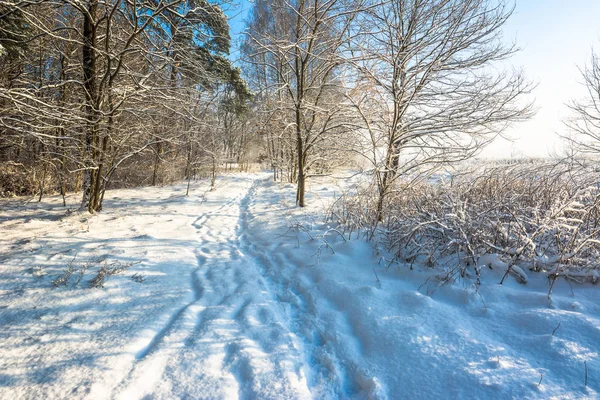 风景秀丽冬天风景与雪在路通过森林和蓝天, 白色圣诞节概念 — 图库照片