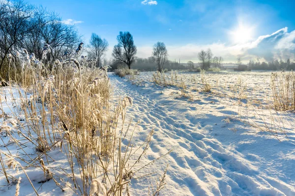 Живописный зимний пейзаж с снегом на дорожке в парке, утреннее солнце и голубое небо, белая рождественская концепция — стоковое фото