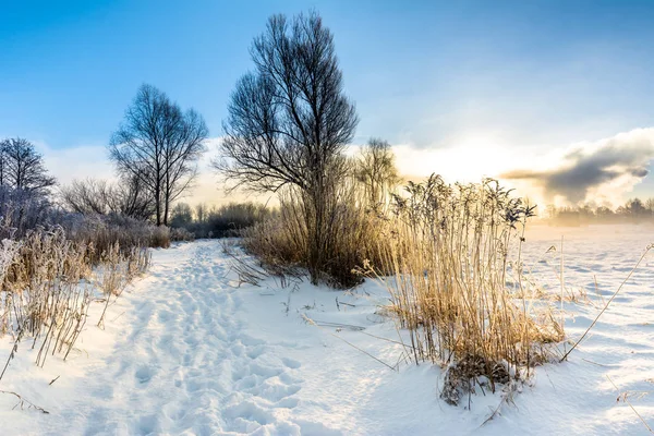 风景秀丽的冬季景观公园、 早晨的阳光和蔚蓝的天空，在路径上的雪白色的圣诞概念 — 图库照片