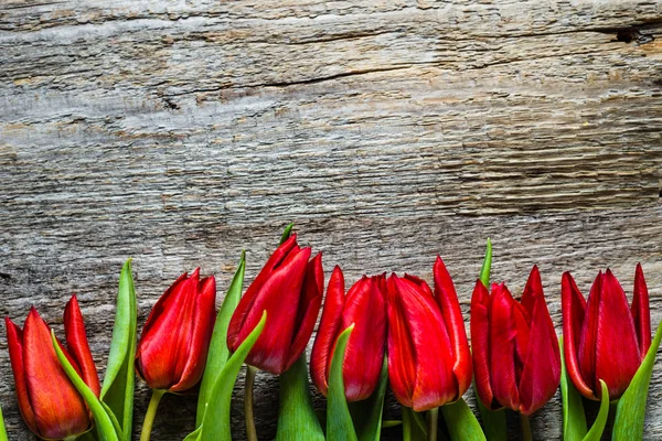 Tulipanes rojos, fondo de primavera, tarjeta de día de las madres — Foto de Stock