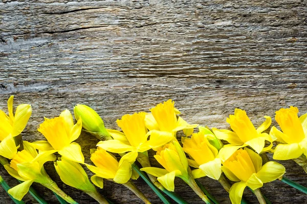 Fondo de Pascua de primavera con narcisos sobre mesa de madera — Foto de Stock
