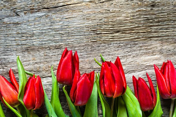 Tulipanes rojos, fondo del día de las madres — Foto de Stock