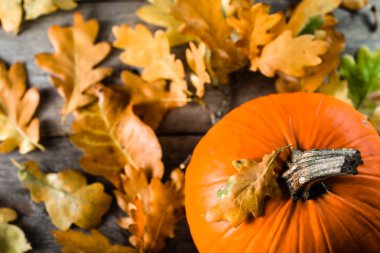 Şükran kabak, sonbahar arka plan ile ahşap masa, ek yükü bırakır.