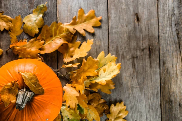 Şükran kabak, sonbahar arka plan ile ahşap masa, üstten görünüm bırakır.