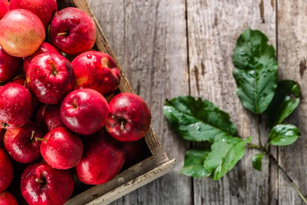 Kırmızı elma'de ahşap kutu, tabloda görüntülemek yukarıdan