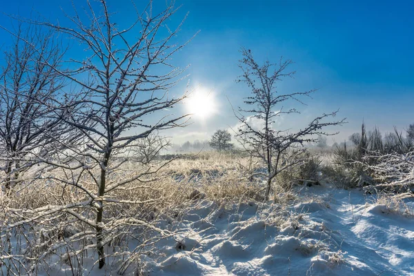 神奇的冬季景观与雪在农村, 太阳和蓝天, 白色圣诞节概念 — 图库照片