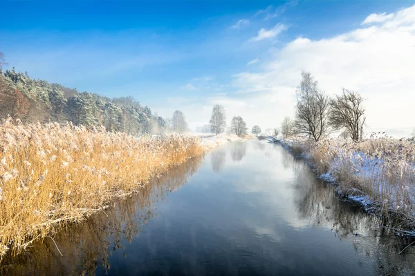 Пейзаж реки зимой или весной оттепель — стоковое фото