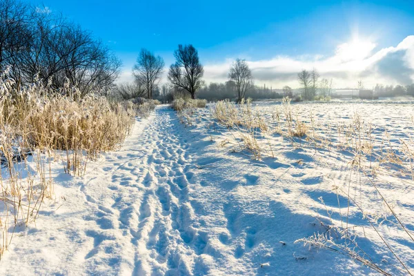 Волшебный зимний пейзаж со снегом в сельской местности, солнце и голубое небо, белая маска. — стоковое фото