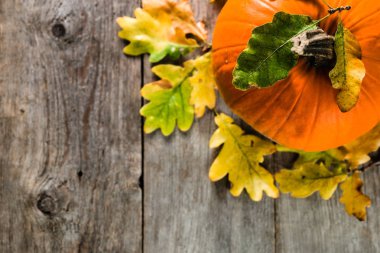 Kabak ile sonbahar arka plan, sarı ile ahşap masa üzerindeki yükü yaprakları, taze sebze hasat sonbahar