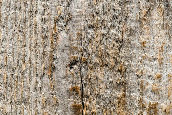 Деревянная текстура, деревенский фон с пустым местом для копирования — стоковое фото