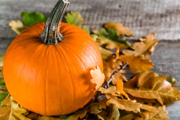 Ahşap masa, organik sebze hasat, Şükran günü arka plan, turuncu renkli yaprakları ile sonbahar besteleri bütün kabak