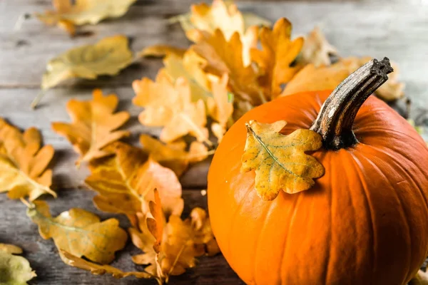 Sonbahar arka plan ile kabak, taze sebze ile dekore edilmiş ahşap masa üzerinde içinde portakal rengi değiştirmez.