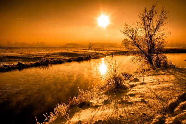 Winter scenery of nature with tree over bank of river, landscape with sun shining on the sky in the morning in good weather