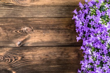 Bahar çiçekleri arka plan kopya alanı ile.